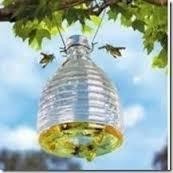BOTELLA TRAMPA AVISPAS GB002S 13,5X 9,5