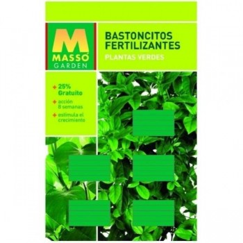 MASSO BASTONCITO PLANTA VERDE