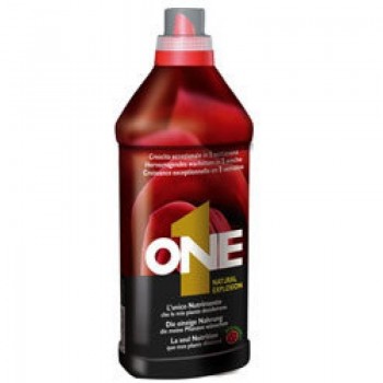 NUTRIENTE ONE LIQUIDO 1,0L.