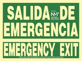 SEÑAL LUM. SALIDA EMERGENCIA -EMERGENCY RD14102