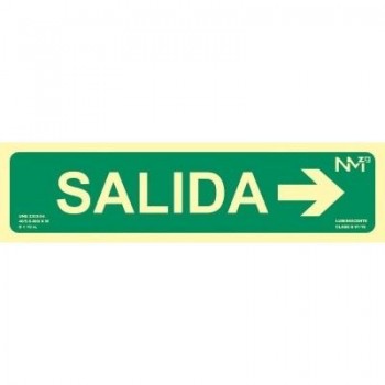 (AGOTADO) SEÑAL LUM. SALIDA+FLECHA DCHA. 10.5X40.2(RD12100)