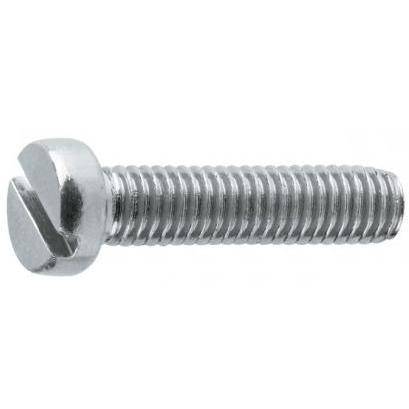 TORNILLO DIN/84 4X 6 ZINC %