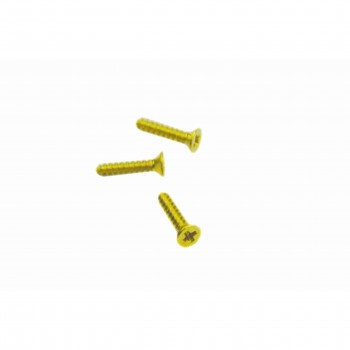 (AGOTADO) TORNILLOS LATONADOS 1,6X10MM. B/10U. 05200