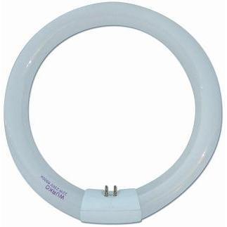 TUBO FLUORESCENTE CIRCULAR 22W L/DIA