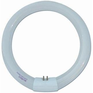TUBO FLUORESCENTE CIRCULAR 22W L/DIA